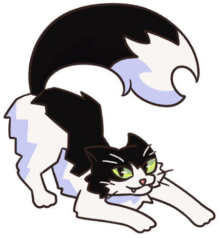 Panda (My cat)