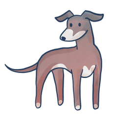 Greyhound