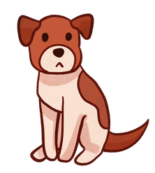 Jack Russel