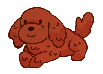 Toy Poodle