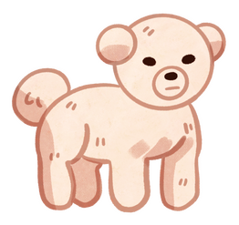 Bichon Frise