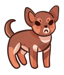 Chihuahua
