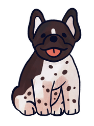 Frenchie