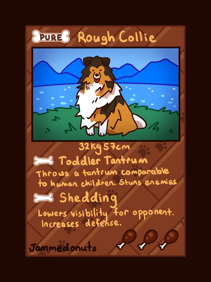 Rough Collie